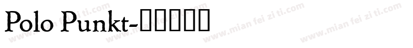 Polo Punkt字体转换